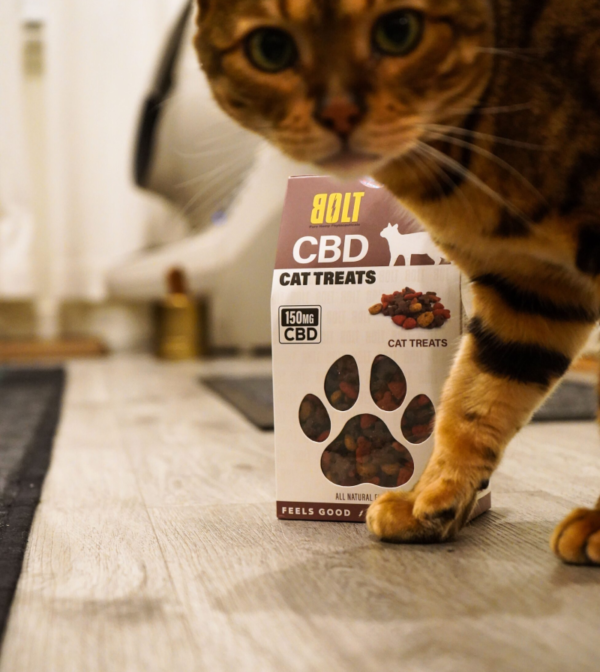 Bolt CBD CAT Treats - 150mg - Image 3